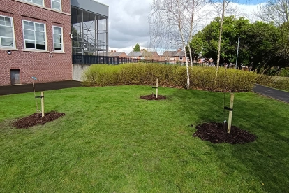 Fruit trees planted on the school grounds