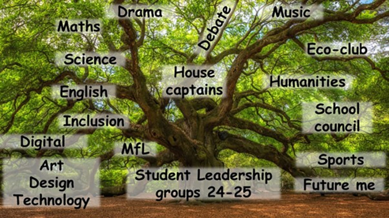 Overview of current student leadership groups